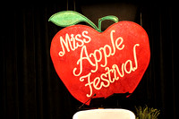 Murphysboro Apple festival photos