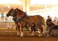 IL Horse Pullers Association-Du Quoin State Fair-9/3/23