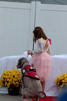 Steeleville Octoberfest Little Miss pageant 10/9/21
